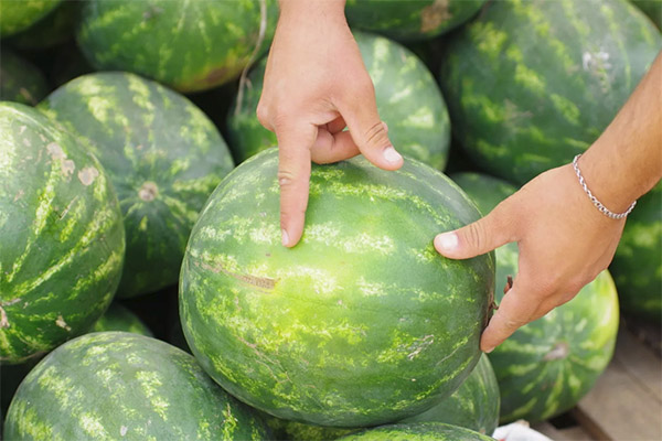 How to choose a ripe and sweet watermelon