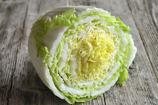 Chinese cabbage in cosmetics