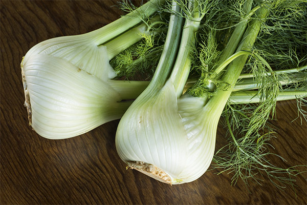 Useful properties of fennel