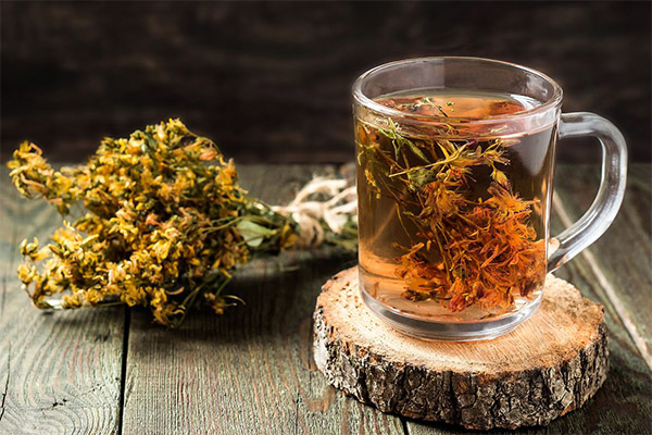 The benefits and harms of St. John's wort tea