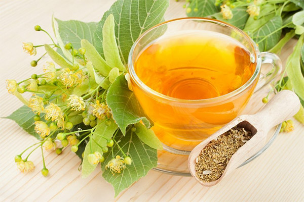 The benefits and harms of linden tea