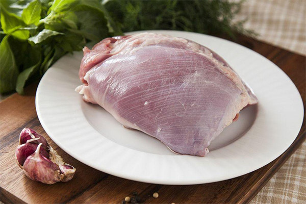 Benefits and harms of turkey meat