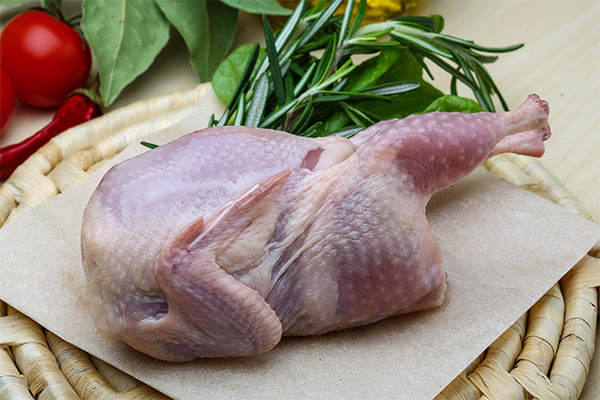 The benefits and harms of quail meat