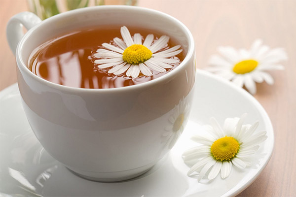 The benefits and harms of chamomile tea