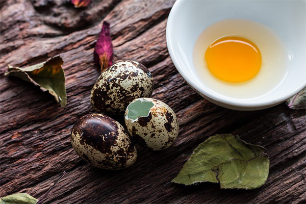 The benefits and harms of raw quail eggs