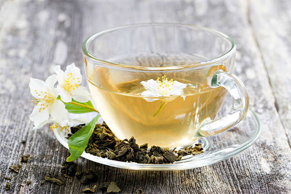 The benefits and harms of jasmine tea