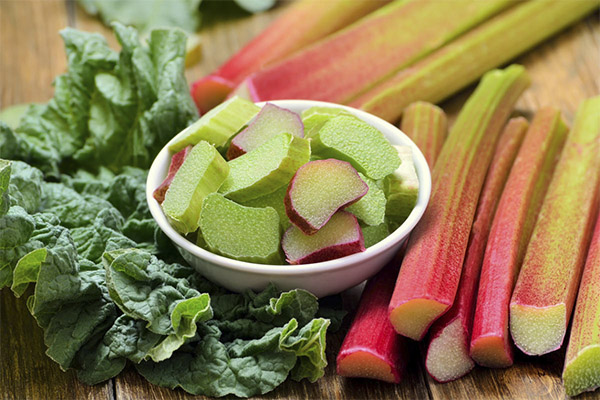 The usefulness of rhubarb for weight loss