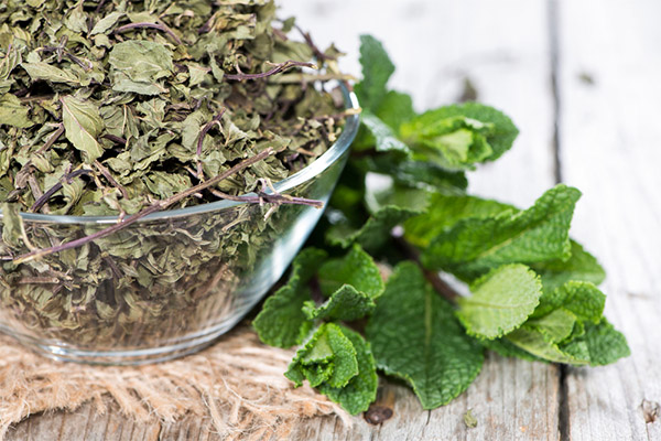 Benefits of dried mint