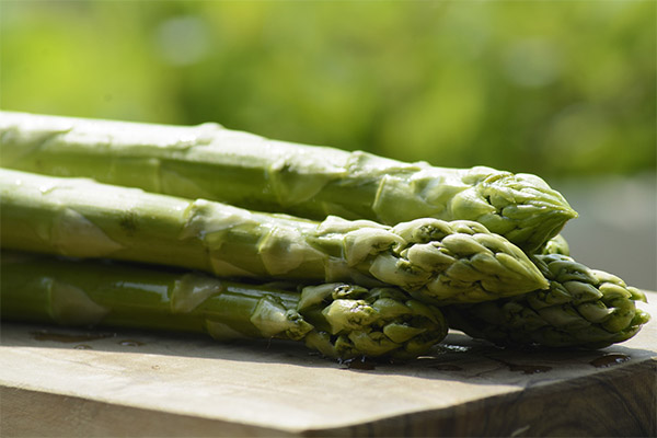 Asparagus in medicine