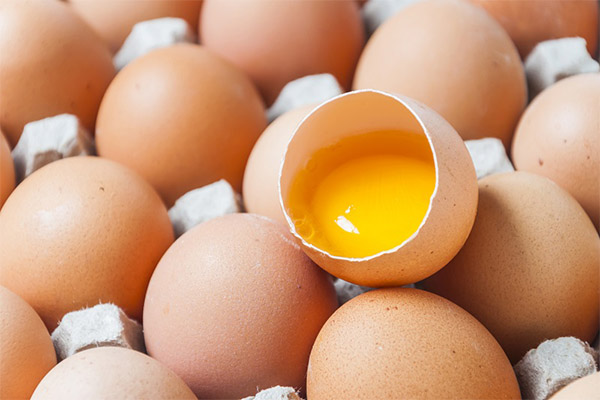 生卵の賞味期限