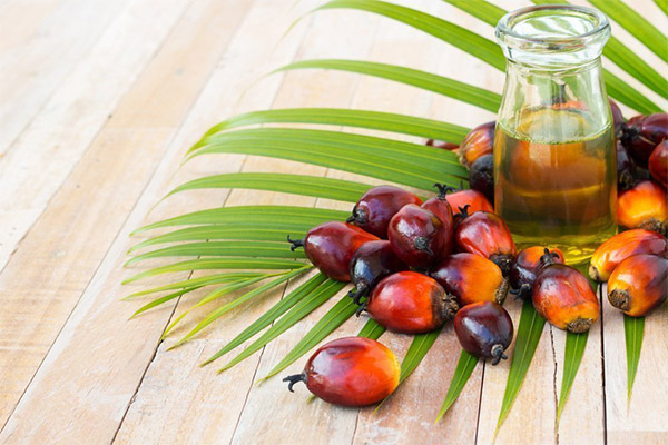 What foods contain palm oil