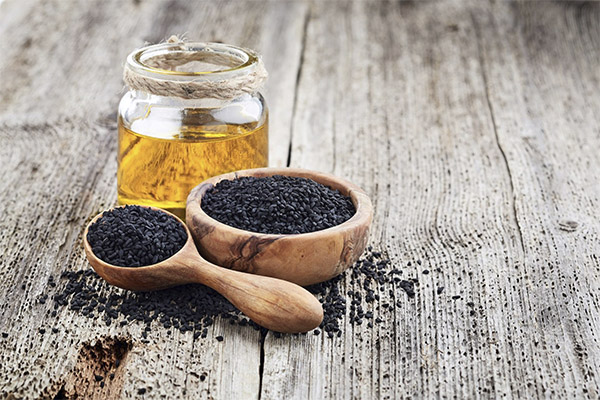 Harm and contraindications of black cumin oil