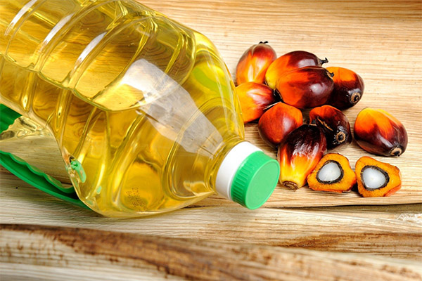 Harm and Contraindications of Palm Oil