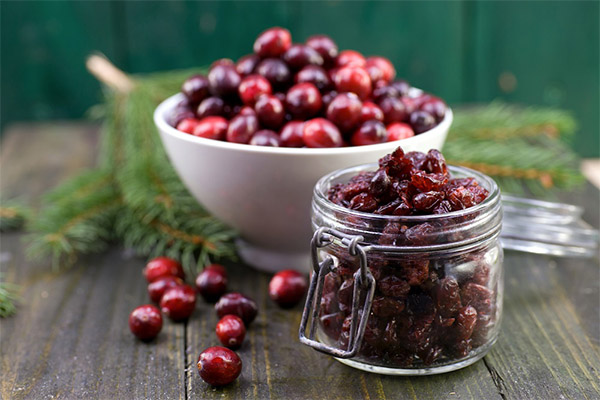 What are the benefits of dried cranberries