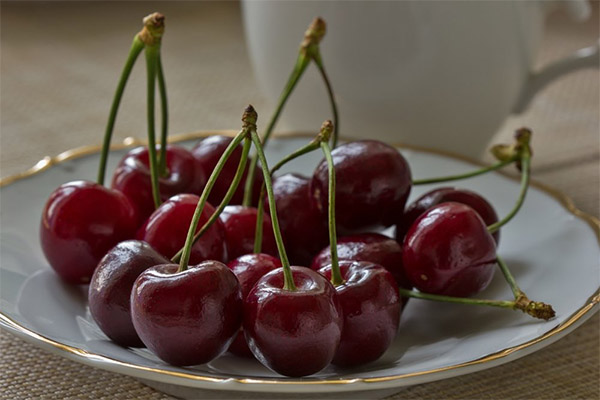 Cherry for weight loss