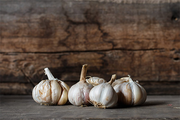 Garlic in cosmetics