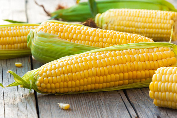 Corn starch Interesting Facts