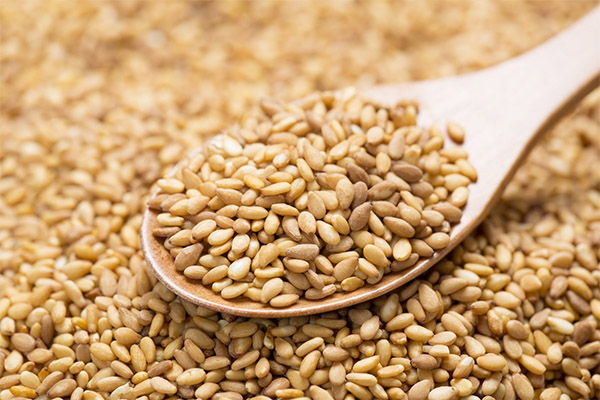 Interesting Facts about Sesame