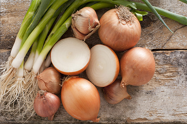 Interesting facts about onions