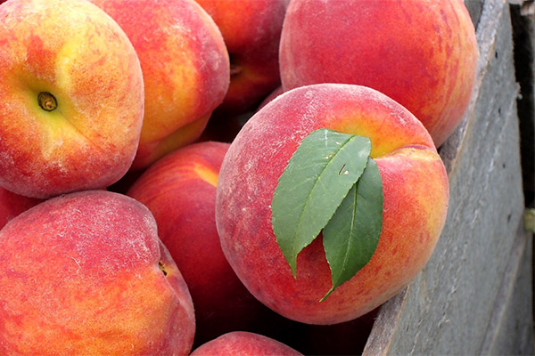 How to Choose and Store Peaches