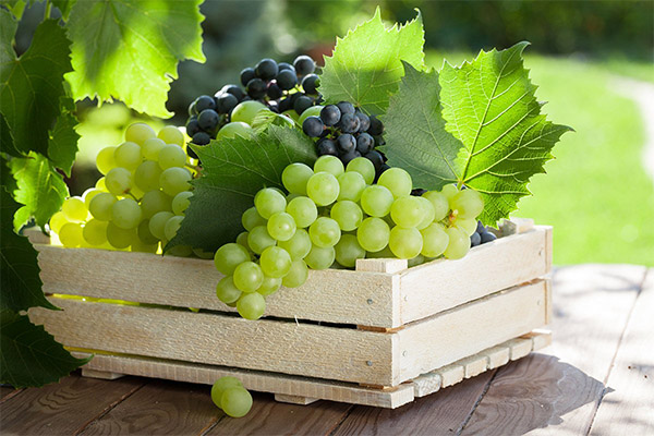 How to choose and store grapes