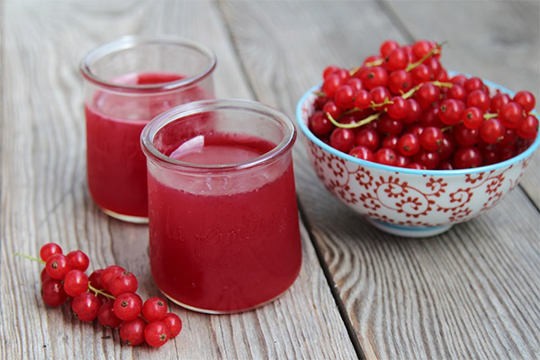 Red currant kissel