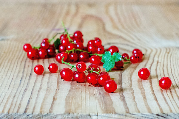 Red currant in cosmetology