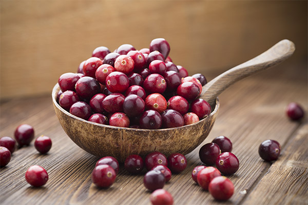 Useful properties of cranberries