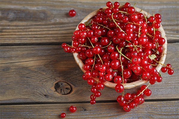 The benefits and harms of red currant
