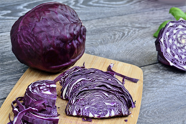 The benefits and harms of red cabbage