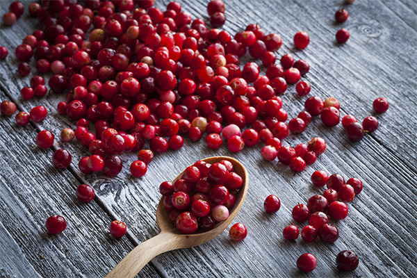 How much we can eat cranberries a day