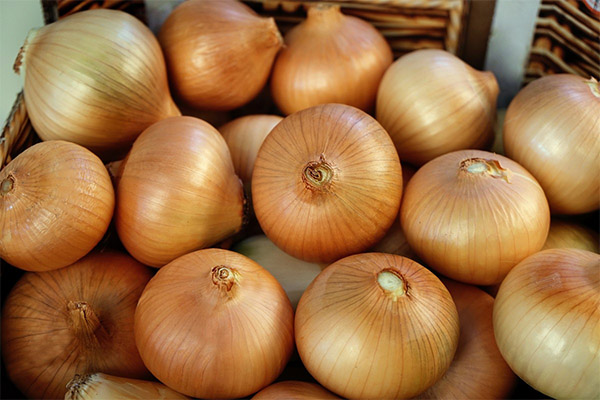 Onions are healthier in what form