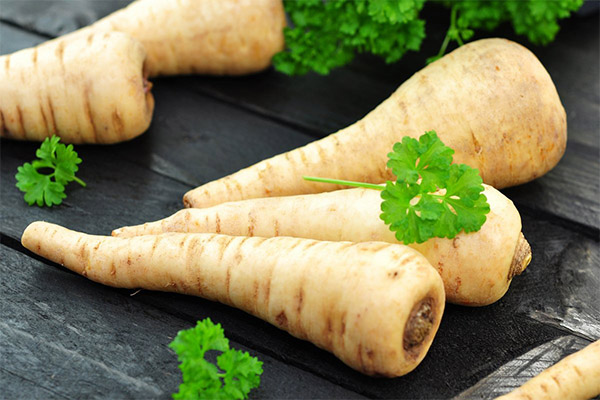 What is the usefulness of parsnips
