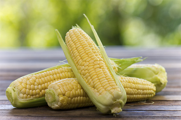 What are the benefits of corn