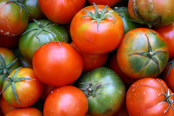 Interesting facts about tomatoes