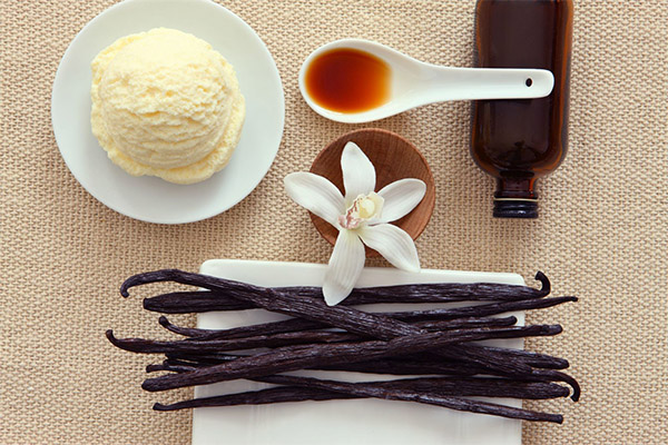 Interesting Facts about Vanilla