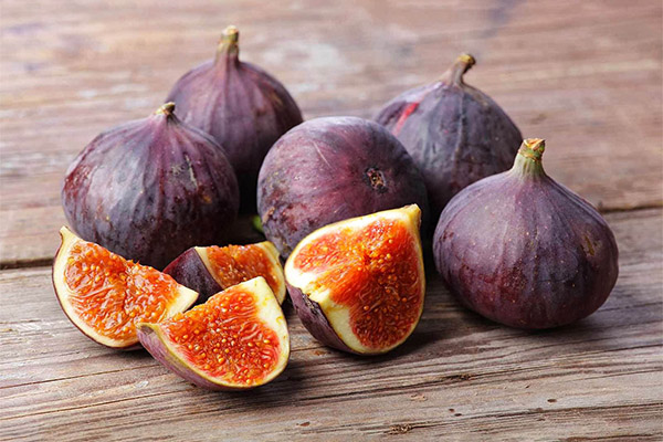 Interesting facts about figs