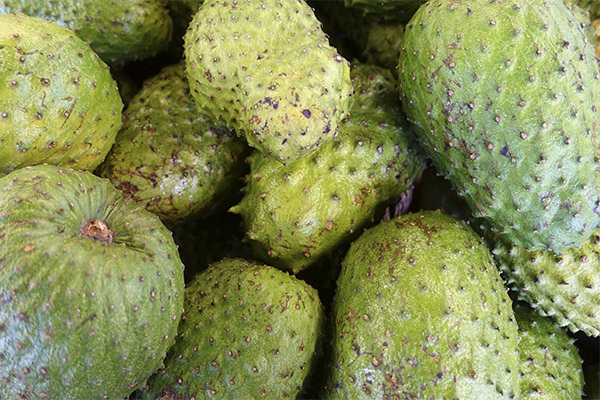 How to Choose and Store Guanabana