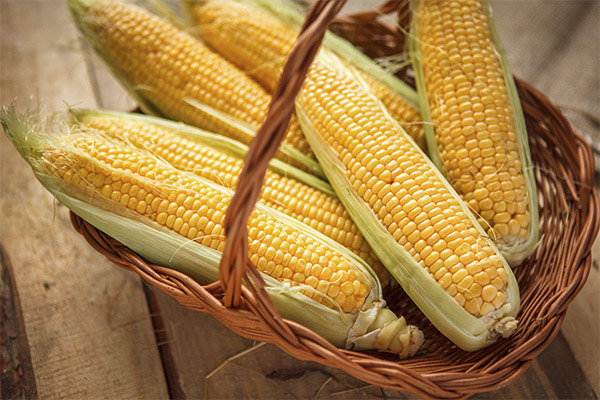 How to Choose and Store Corn