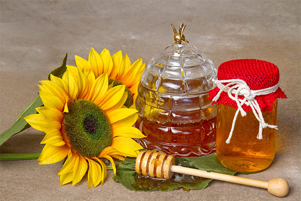 How to choose and store sunflower honey