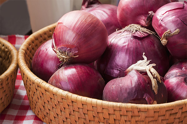 How to Pick and Store Blue Onions