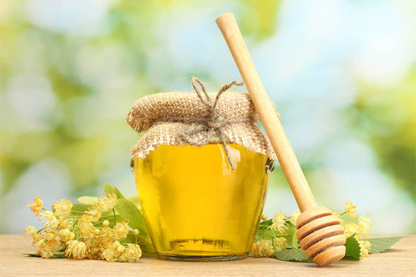Useful properties of linden honey