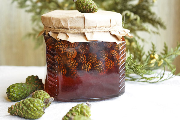 Useful properties of pine cones jam