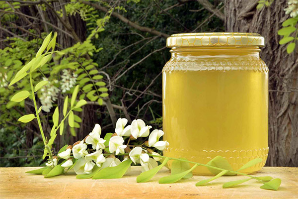 The benefits and harms of acacia honey
