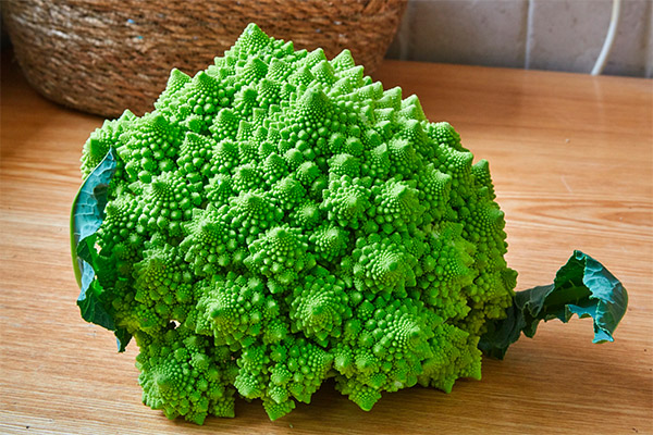 Benefits and harms of romanesco cabbage