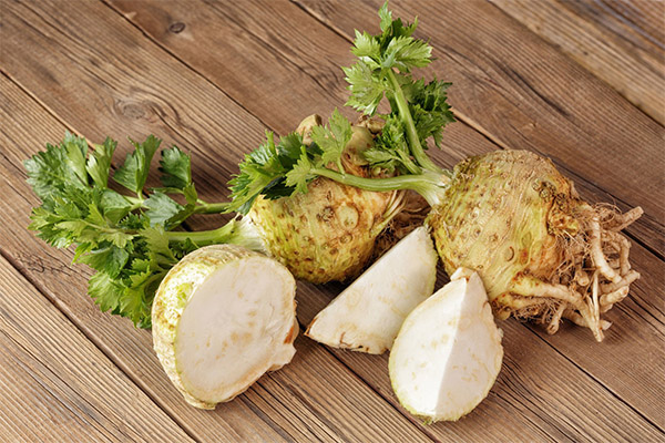 The benefits and harms of celery root