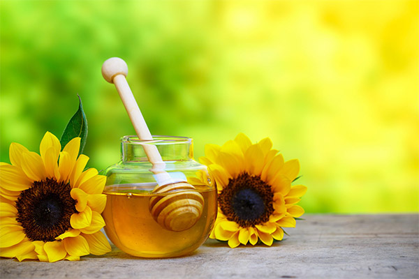 The benefits and harms of sunflower honey