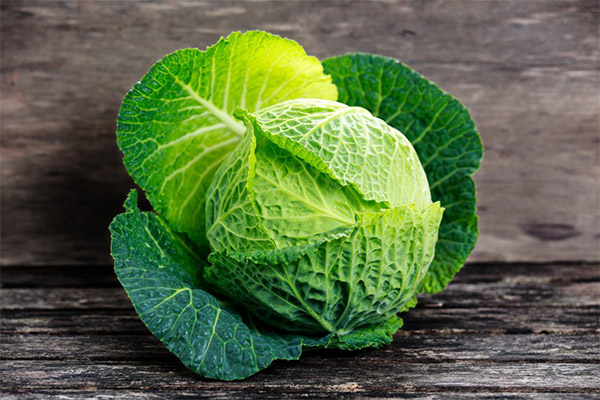 The benefits and harms of savoy cabbage