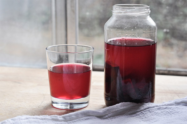 The benefits and harms of beet kvass