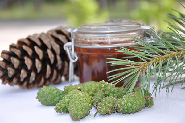 The benefits and harms of jam from pine cones
